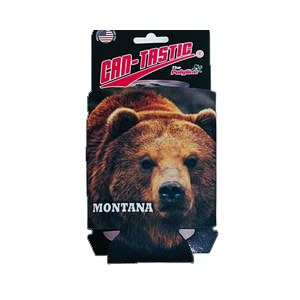 Bear - Photo