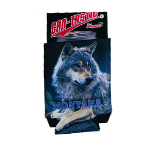 Wolf - Photo