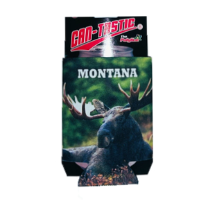 Moose - Photo